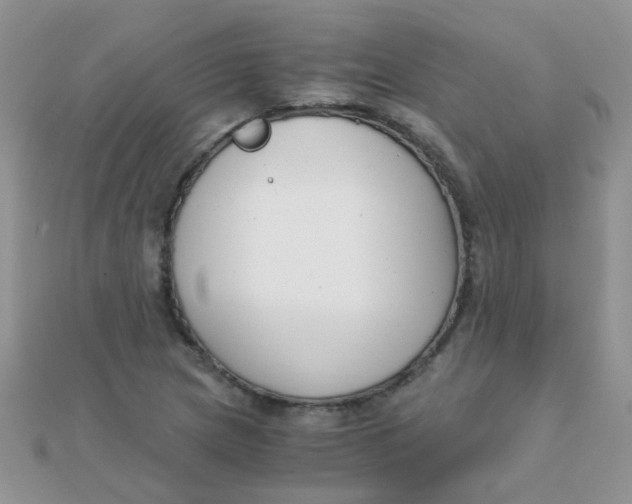 X0000110321217200906042036