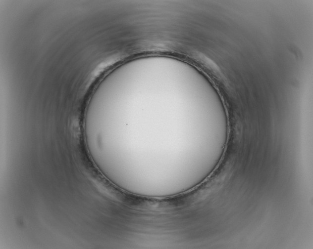 X0000110321218200906042037