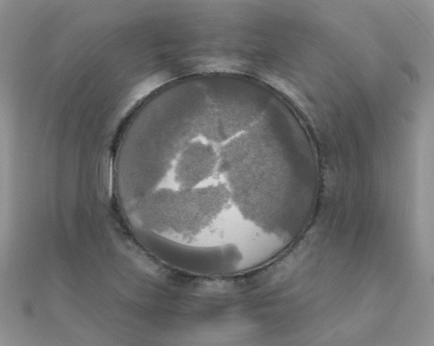 X0000110321219200906042037