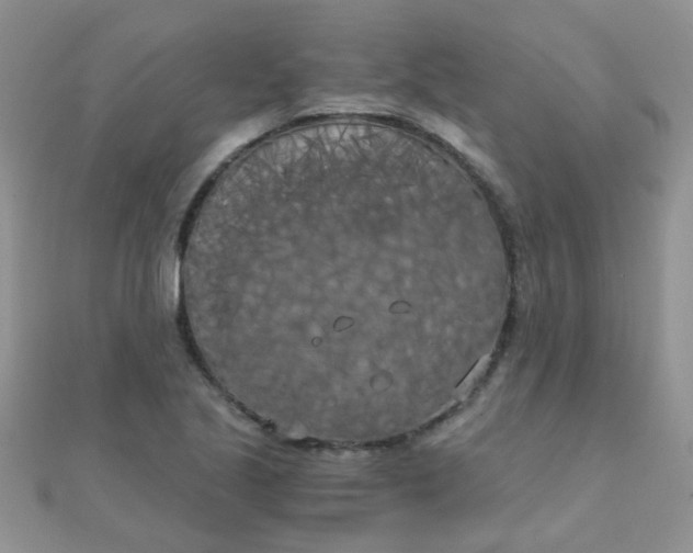 X0000110321221200906042037