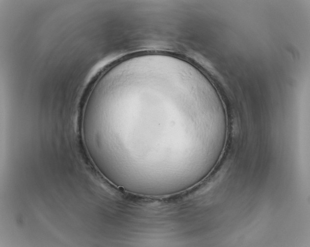 X0000110321222200906042037