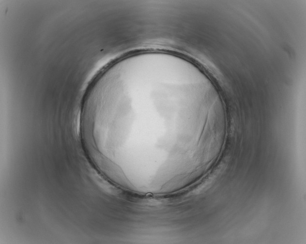 X0000110321224200906042037