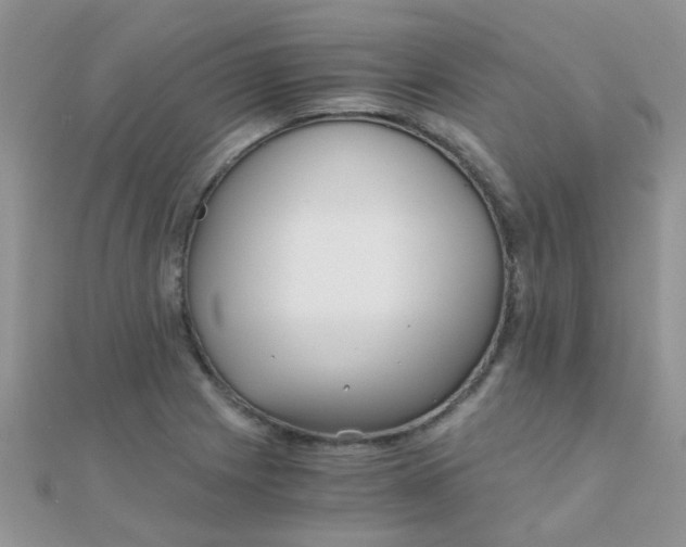 X0000110321225200906042037