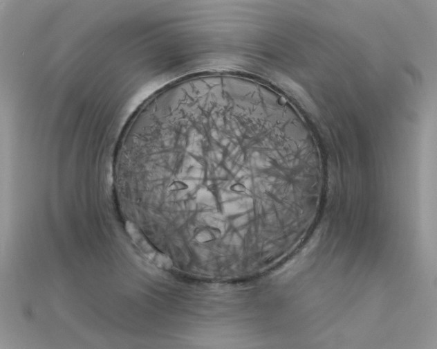 X0000110321226200906042037