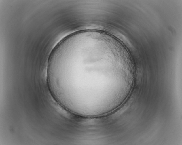 X0000110321228200906042037