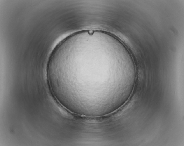 X0000110321230200906042037