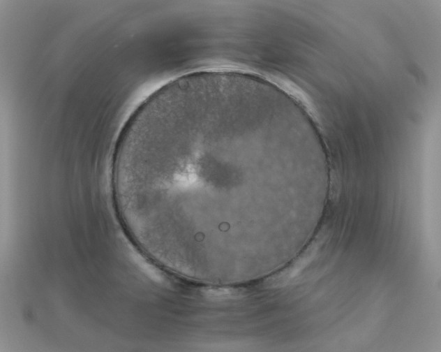 X0000110321231200906042037