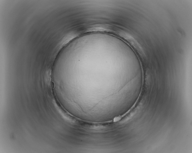 X0000110321233200906042037