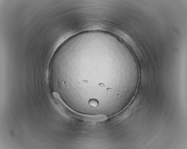 X0000110321234200906042037