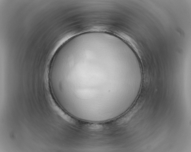 X0000110321235200906042037