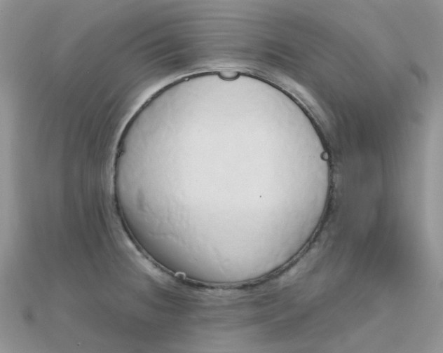 X0000110321236200906042037