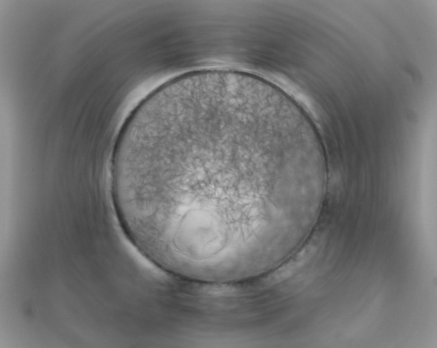 X0000110321239200906042037