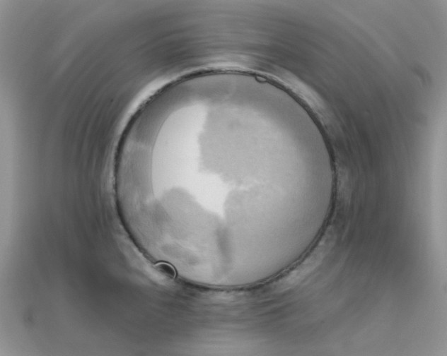 X0000110321240200906042037