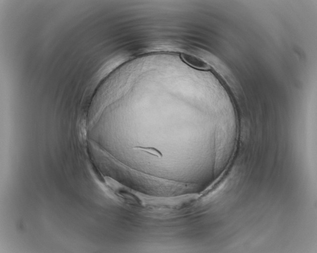 X0000110321241200906042037