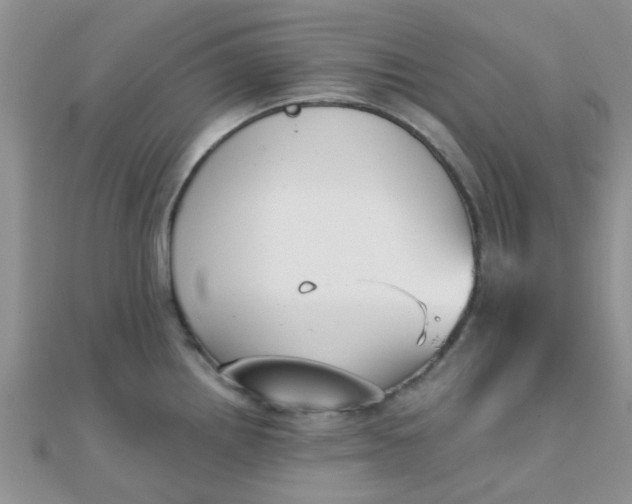 X0000110321242200906042037