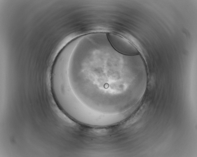 X0000110321243200906042037