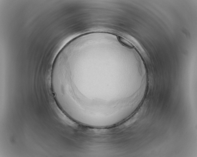 X0000110321244200906042037