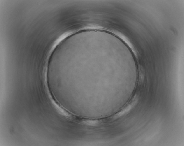 X0000110321245200906042037