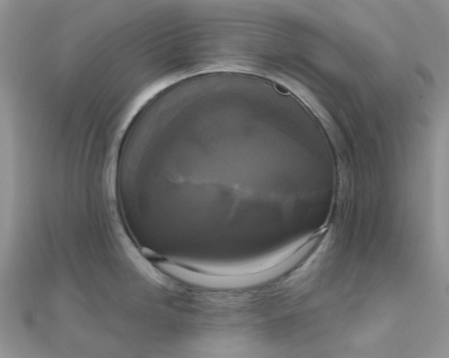 X0000110321246200906042037