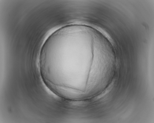 X0000110321247200906042037