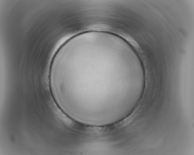 X0000110321248200906042037