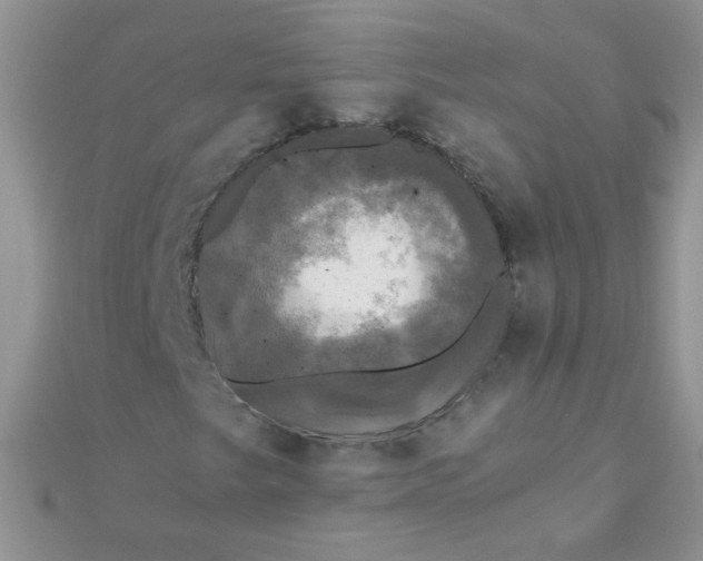 X0000110321249200906042036