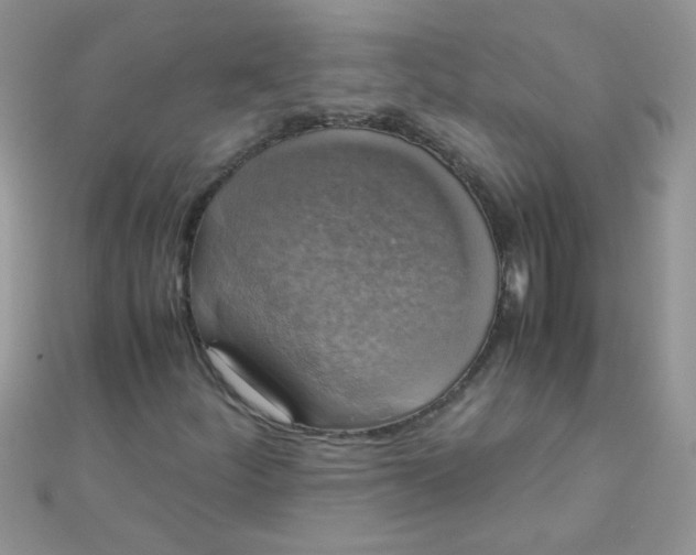 X0000110321252200906042036