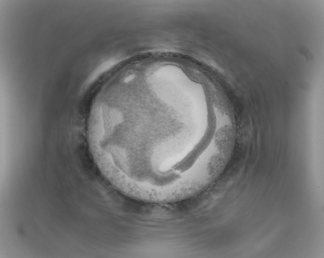 X0000110321255200906042036