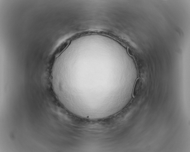 X0000110321256200906042036