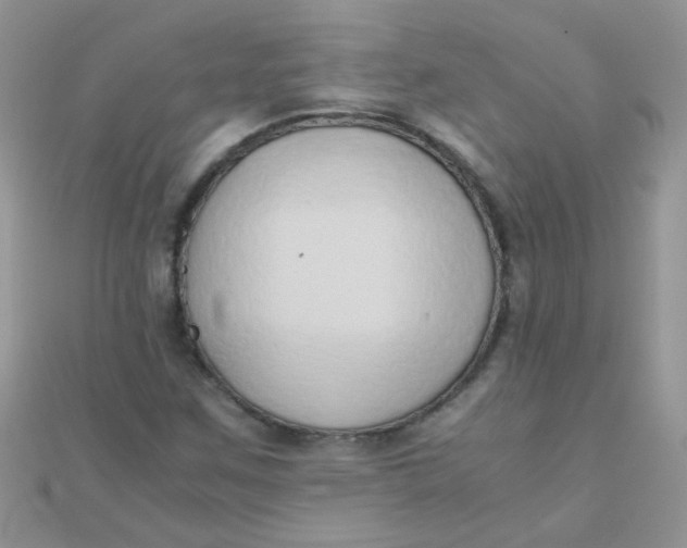 X0000110321259200906042036