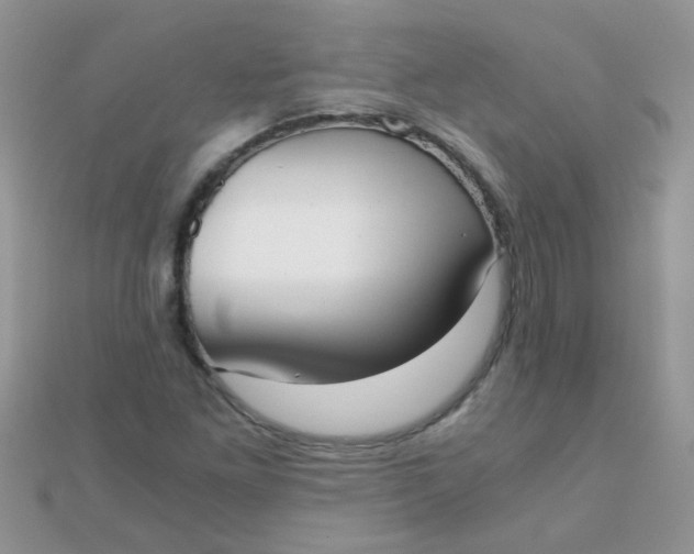 X0000110321261200906042036