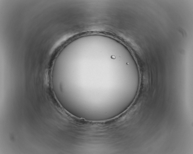 X0000110321262200906042036