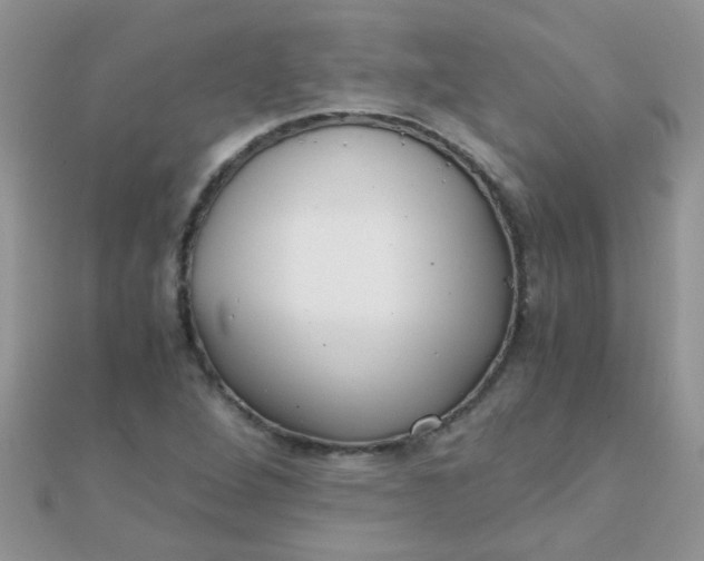 X0000110321264200906042036