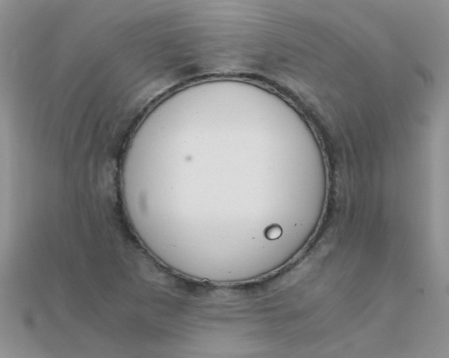 X0000110321265200906042036