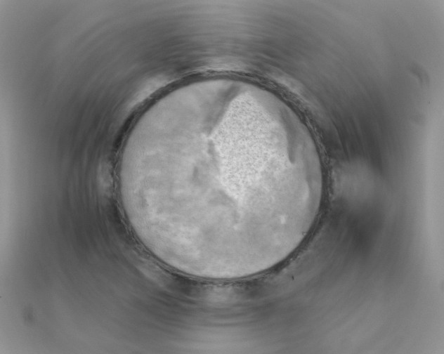 X0000110321266200906042036