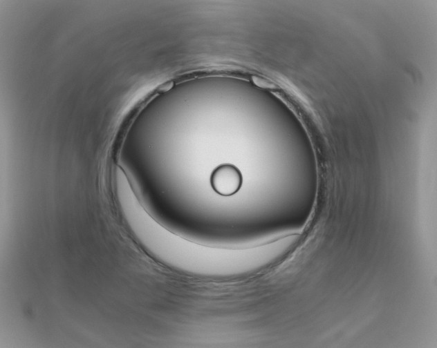 X0000110321269200906042036