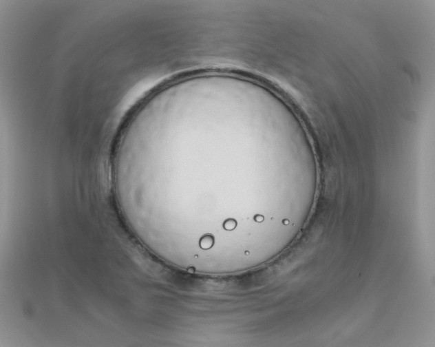 X0000110321271200906042036