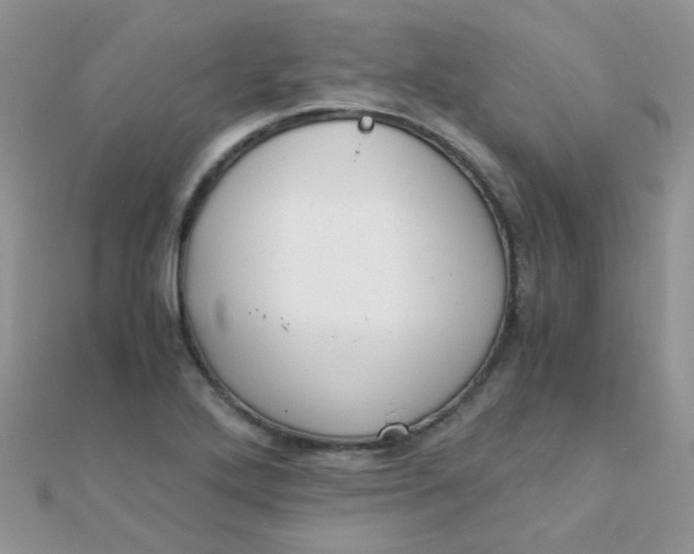 X0000110321272200906042036