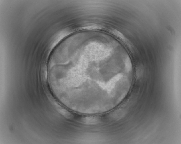 X0000110321274200906042036