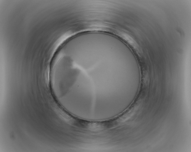 X0000110321275200906042036