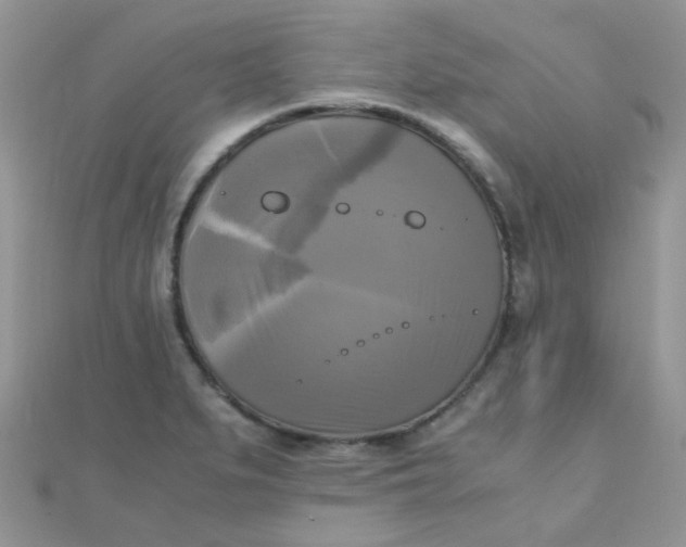 X0000110321279200906042036