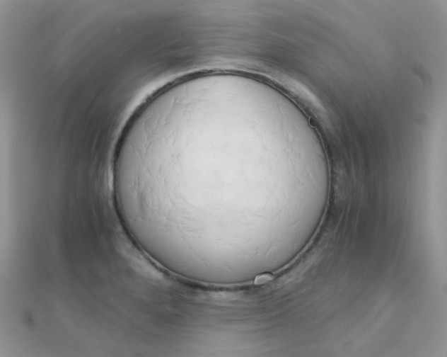 X0000110321280200906042036