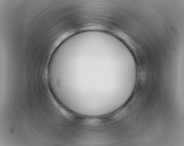 X0000110321282200906042036