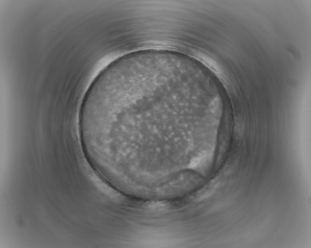 X0000110321283200906042036