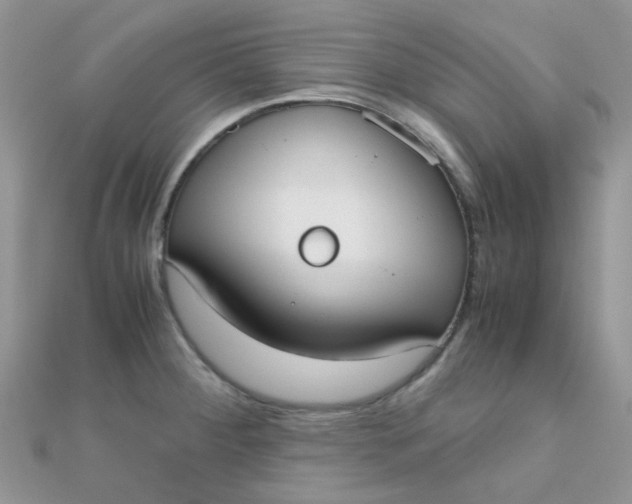 X0000110321284200906042036