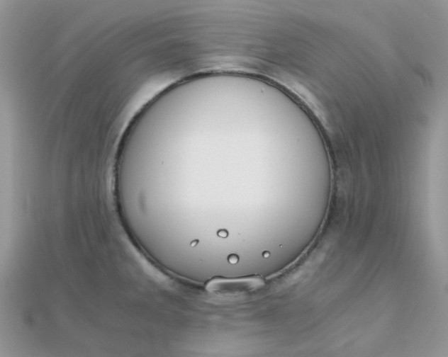 X0000110321285200906042036