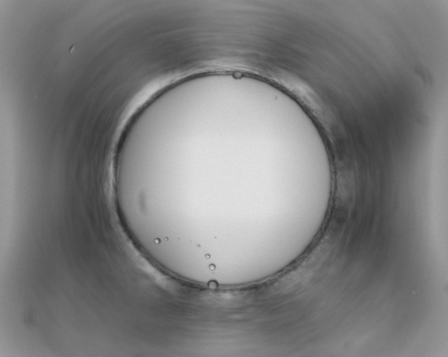 X0000110321286200906042036