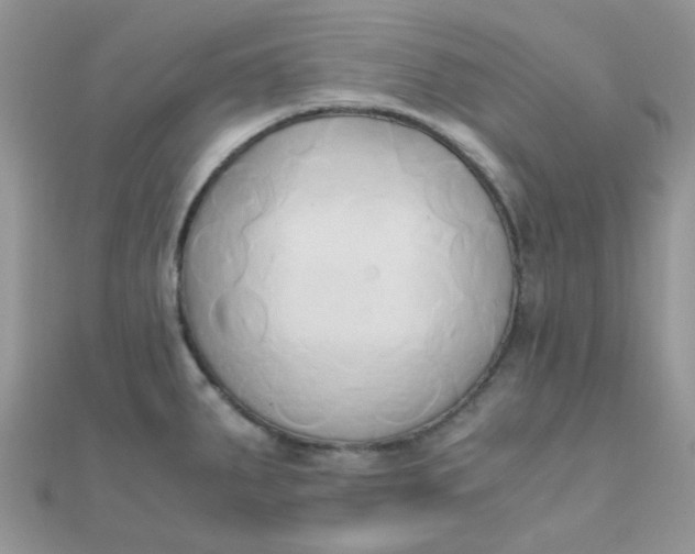 X0000110321287200906042036