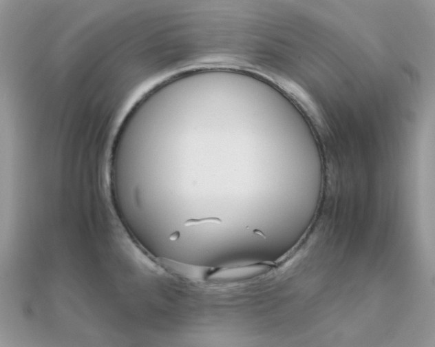 X0000110321288200906042036