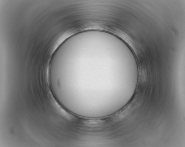 X0000110321290200906042036